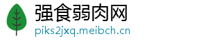强食弱肉网